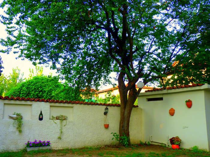 Egemen Hotel Сапанджа Екстериор снимка